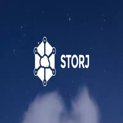  A Comprehensive Analysis of STORJ Coin