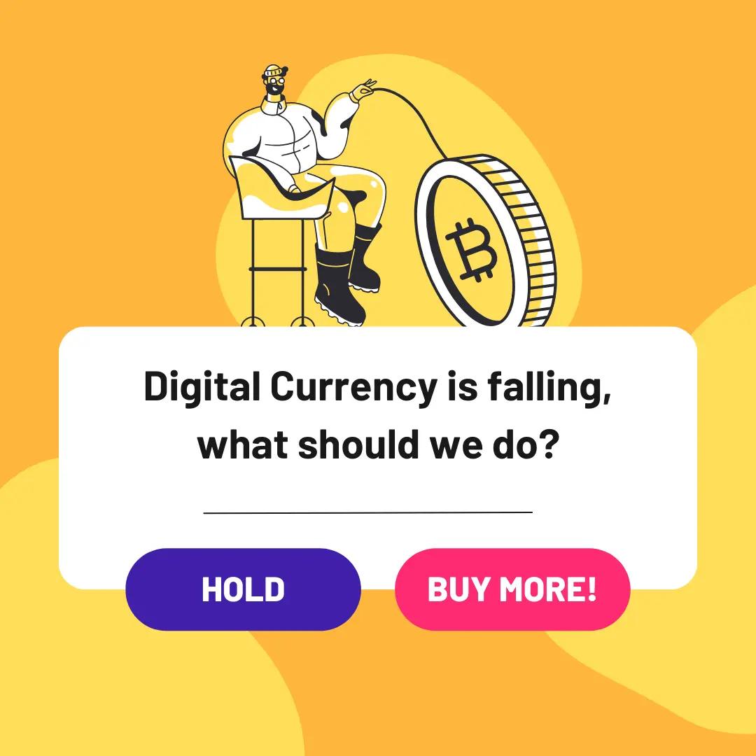 Bitcoin Hodlers Accumulate $23B Amid Market Slump